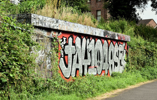 Graffiti, Lagan towpath, Stranmillis, Belfast (July 2019)