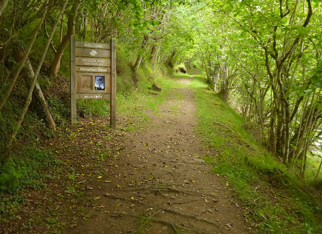 Path into Abriachan Woods
