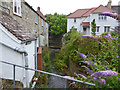 River Lim, Lyme Regis