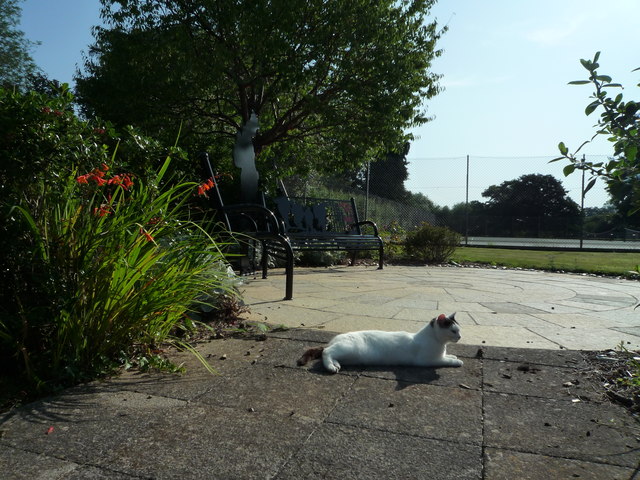 Cat by the Garden of Remembrance... © Fabian Musto :: Geograph Britain ...