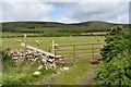 O1908 : Sheep grazing at Ballinastoe by Simon Mortimer