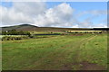 O2010 : Pasture land at Powerscourt Paddock Townland by Simon Mortimer
