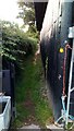 Public Footpath Narrows at back of Stables