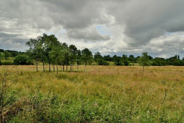 Heathland, Deroran © Kenneth Allen :: Geograph Ireland