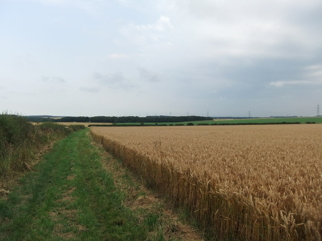 Ripening crops near Newbald Lodge © David Brown cc-by-sa/2.0 ...