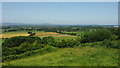 View over Frocester