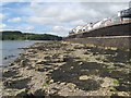 Sea wall and houses