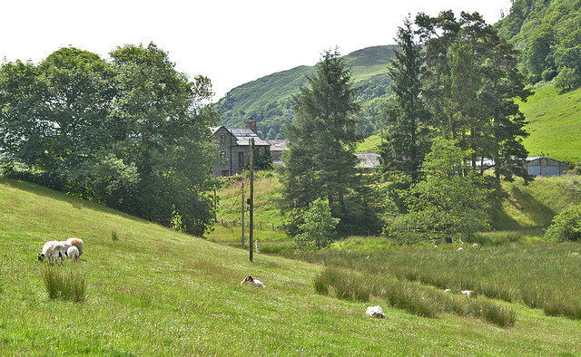 Fields near Beech Hill Farm, Long Sleddale
