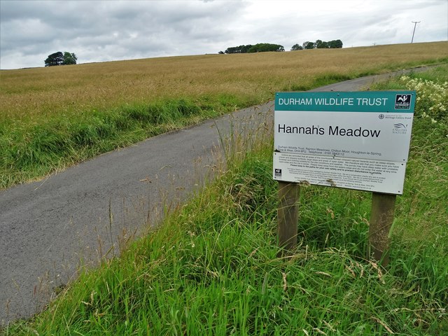 Hannah's Meadow © Neil Theasby cc-by-sa/2.0 :: Geograph Britain and Ireland