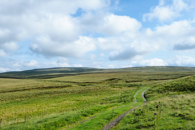 Hill road and moorland east of Crook Burn