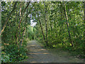 The Rothwell Greenway south of Leadwell Lane