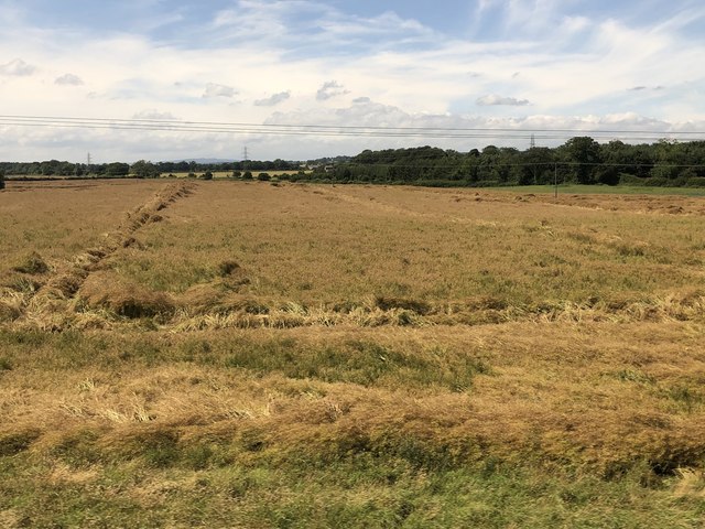 Farmland Near Acklington