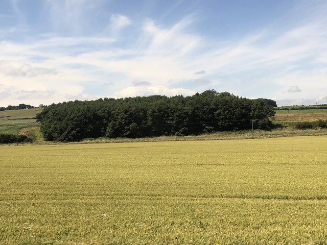 Farmland Near Longhoughton