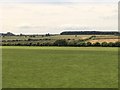 Farmland Near Littlemill