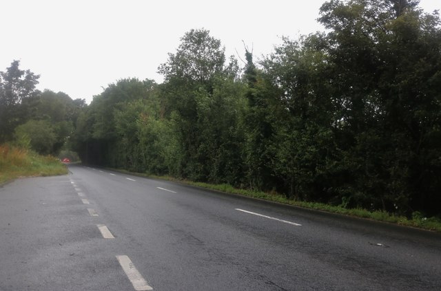 Layby on the A12 north of Darsham