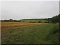 Harvested field near Corby Glen