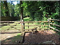 Llwybr Home Farm / Home Farm Path