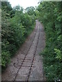 South from Pagford Bridge