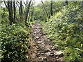 A steep climb on the Wales Coast Path