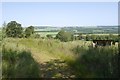 Quadbike track, Hindside Hill