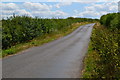 Fullerton Road near Flint Farm