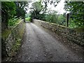 Bridge crossing a former railway