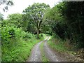 Track to Lower Kingswood