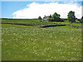 Farmland below High Stone Carrs