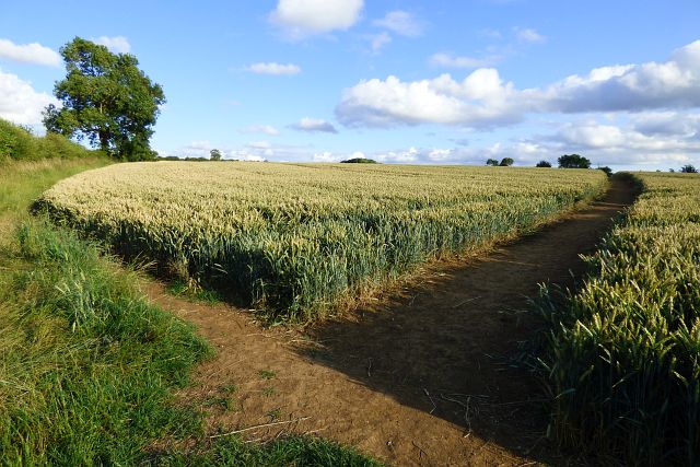 Farmland, Kings Sutton