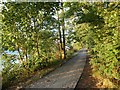 The Thames towpath at Mortlake