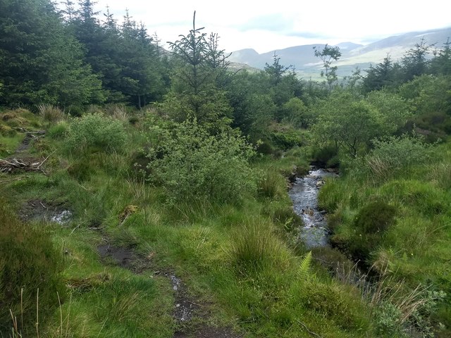 The infant Afon Meillionen © David Medcalf :: Geograph Britain and Ireland