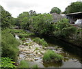 Upstream along the Teifi, Newcastle Emlyn