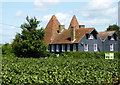 Oast ottages, Broom Street