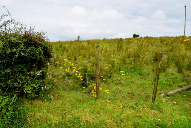 Carryglass Townland © Kenneth Allen cc-by-sa/2.0 :: Geograph Ireland