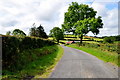 Carryglass Road, Lisconrea