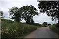 Road from Honiton to Northleigh