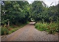 Unpaved part of Austin