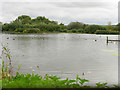 SO7204 : Slimbridge Wetland Centre, The South Lake by David Dixon