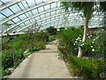 SN5218 : A path in the Great Glasshouse, National Botanic Garden of Wales by Humphrey Bolton