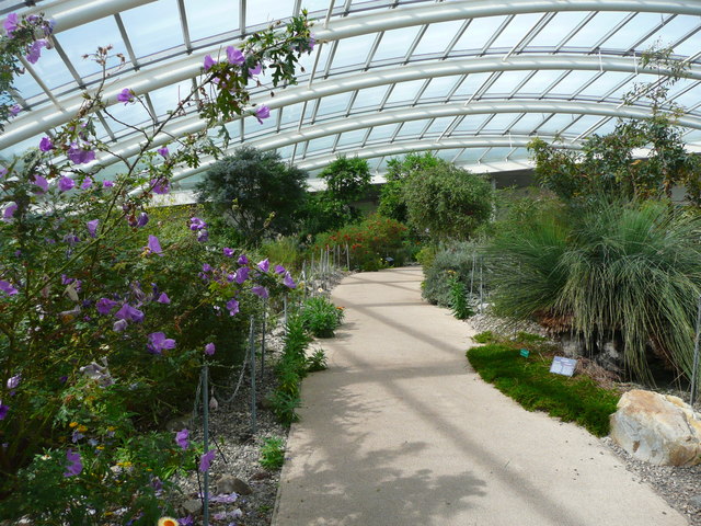 A path in the Great Glasshouse, National Botanic Garden of Wales