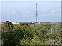 TQ6076 : High pylon, Swanscombe Marshes by Robin Webster