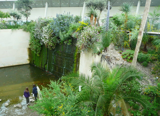 The pool at the lowest part of the Great Glasshouse, National Botanic Garden of Wales