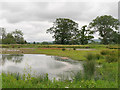 SO7204 : South Lake, Slimbridge Wetland Centre by David Dixon