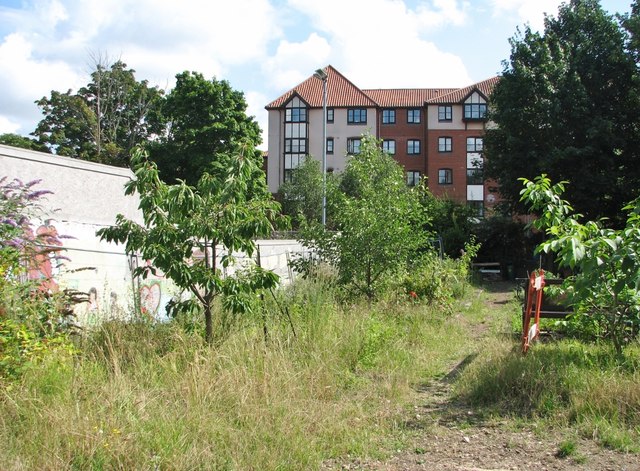 The Rose Lane Community Garden © Evelyn Simak :: Geograph Britain and ...