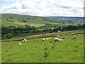 Upper Weardale west of Eastgate