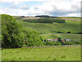 Upper Weardale around Brotherlee