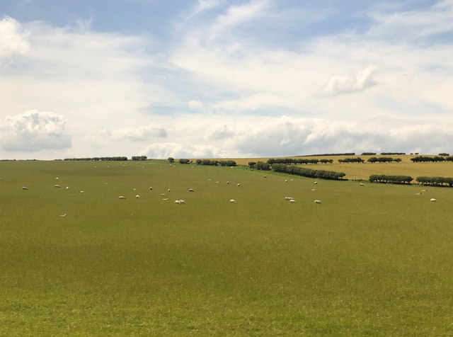 Farmland near Fenhamhill