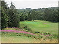 Letham Grange, Old Course, 12th Hole, Waulkmill