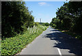 Hazel Old Road towards Gallows Hill