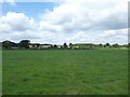 Bridleway near Little Newbury Farm